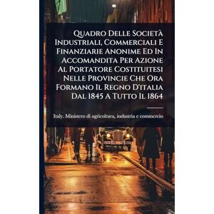 Quadro Delle Società Industriali, Commerciali E Finanziarie Anonime Ed In Accomandita Per Azione Al Portatore Costituitesi Nelle Provincie Che Ora Formano Il Regno D'italia Dal 1845 A Tutto Il 1864 Quadro Delle Società Industriali, Commerciali E Finanziarie Anonime Ed In Accomandita Per Azione Al Portatore Costituitesi Nelle Provincie Che Ora Formano Il Regno D'italia Dal 1845 A Tutto Il 1864