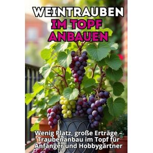 Svitana Weintrauben im Topf anbauen: Schritt-für-Schritt-Anleitung zum Anbau von Trauben im Behälter für Anfänger und Amateure. Wenig Platz, große Ernte. Svitana Weintrauben im Topf anbauen: Schritt-für-Schritt-Anleitung zum Anbau von Trauben im Behälter für Anfänger und Amateure. Wenig Platz, große Ernte.
