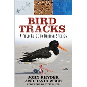 Rhyder, John Bird Tracks: A Field Guide to British Species Rhyder, John Bird Tracks: A Field Guide to British Species