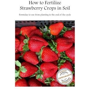Angélica de Oliveira, Laís How to Fertilize Strawberries Crops in Soil: Formulas to use Recipes for the Entire Growing Cycle Angélica de Oliveira, Laís How to Fertilize Strawberries Crops in Soil: Formulas to use Recipes for the Entire Growing Cycle