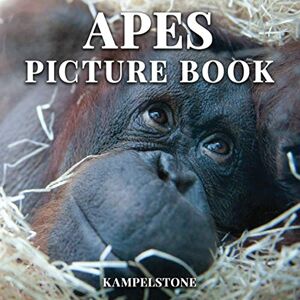 Kampelstone Apes Picture Book: 100 Cute Images of Apes Perfect Gift or Coffee Table Book Kampelstone Apes Picture Book: 100 Cute Images of Apes Perfect Gift or Coffee Table Book
