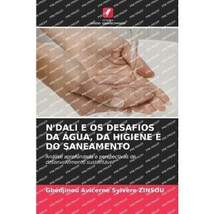 Zinsou, Gbédjinou Avicerne Sylvère N'Dali E OS Desafios Da Água, Da Higiene E Do Saneamento: Análise aprofundada e perspectivas de desenvolvimento sustentável Zinsou, Gbédjinou Avicerne Sylvère N'Dali E OS Desafios Da Água, Da Higiene E Do Saneamento: Análise aprofundada e perspectivas de desenvolvimento sustentável