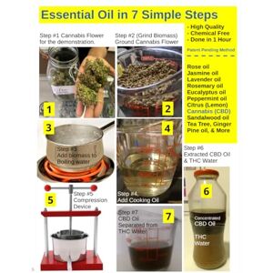 ofili, g e Essential Oil in 7 Simple Steps: High Quality, Chemical Free, Done in 1 hour (The Engineer's Apprentice) ofili, g e Essential Oil in 7 Simple Steps: High Quality, Chemical Free, Done in 1 hour (The Engineer's Apprentice)