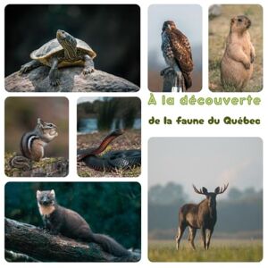 Bérubé, Camille À la découverte de la faune du Québec Bérubé, Camille À la découverte de la faune du Québec