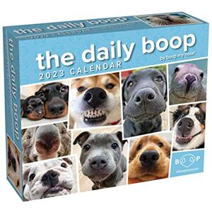 Andrews McMeel Publishing The Daily Boop 2023 Day-to-Day Calendar: By Boop My Nose Andrews McMeel Publishing The Daily Boop 2023 Day-to-Day Calendar: By Boop My Nose