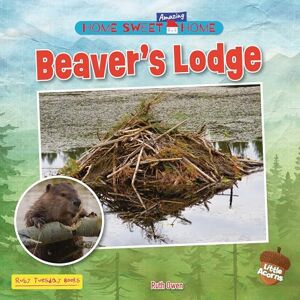 Owen, Ruth Beaver's Lodge (Home Sweet Amazing Home (Little Acorns)) Owen, Ruth Beaver's Lodge (Home Sweet Amazing Home (Little Acorns))