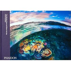 Two Worlds: Above and Below the Sea Two Worlds: Above and Below the Sea