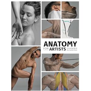 Anatomy for Artists: A visual guide to the human form Anatomy for Artists: A visual guide to the human form