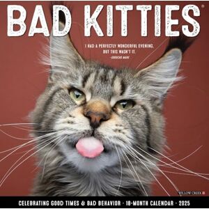 Willow Creek Press Bad Kitties 2025 Wall Willow Creek Press Bad Kitties 2025 Wall