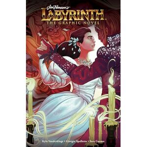 Kyla Vanderklugt Labyrinth: The Graphic Novel (Jim Henson's Labyrinth) Kyla Vanderklugt Labyrinth: The Graphic Novel (Jim Henson's Labyrinth)