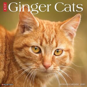 Willow Creek Press Ginger Cats 2026 Wall Calendar Willow Creek Press Ginger Cats 2026 Wall Calendar