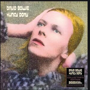 Danilo Promotions LTD 2025 Calendar David Bowie Collector's Edition Record Sleeve Month to View Square Calendar Official Product Danilo Promotions LTD 2025 Calendar David Bowie Collector's Edition Record Sleeve Month to View Square Calendar Official Product