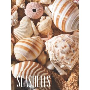 Publishing, CDDH Seashells: Decorative stacking book for Coffee Tables & Bookshelves Perfect for Coastal Themed Home Décor Interior Design & Staging (Beach House Series) Publishing, CDDH Seashells: Decorative stacking book for Coffee Tables & Bookshelves Perfect for Coastal Themed Home Décor Interior Design & Staging (Beach House Series)