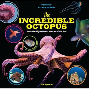 Spencer, Erin The Incredible Octopus: Meet the Eight-Armed Wonder of the Sea Spencer, Erin The Incredible Octopus: Meet the Eight-Armed Wonder of the Sea