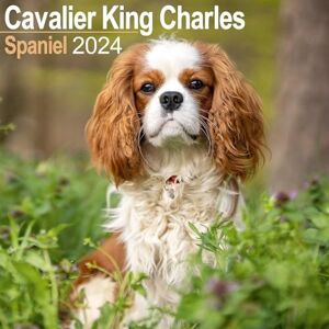 AVONSIDE Cavalier King Charles Calendar 2024 Square Dog Breed Wall Calendar 16 Month AVONSIDE Cavalier King Charles Calendar 2024 Square Dog Breed Wall Calendar 16 Month