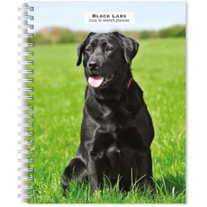 BrownTrout Black Labrador Retrievers 2025 6 x 7.75 Inch Spiral-Bound Wire-O Weekly Engagement Planner Calendar New Full-Color Image Every Week Animals Dog Breeds BrownTrout Black Labrador Retrievers 2025 6 x 7.75 Inch Spiral-Bound Wire-O Weekly Engagement Planner Calendar New Full-Color Image Every Week Animals Dog Breeds