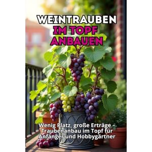 Svitana Weintrauben im Topf anbauen: Schritt-für-Schritt-Anleitung zum Anbau von Trauben im Behälter für Anfänger und Amateure. Wenig Platz, große Ernte. Svitana Weintrauben im Topf anbauen: Schritt-für-Schritt-Anleitung zum Anbau von Trauben im Behälter für Anfänger und Amateure. Wenig Platz, große Ernte.