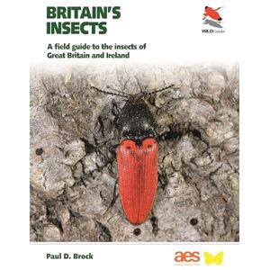 Paul D. Brock Britain's Insects (WILDGuides): A Field Guide to the Insects of Great Britain and Ireland (WILDGuides, 23) (WILDGuides of Britain & Europe) Paul D. Brock Britain's Insects (WILDGuides): A Field Guide to the Insects of Great Britain and Ireland (WILDGuides, 23) (WILDGuides of Britain & Europe)
