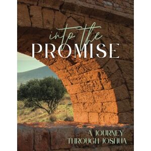 Gaines, Donna D Into the Promise (Large Print): A Journey Through Joshua Gaines, Donna D Into the Promise (Large Print): A Journey Through Joshua