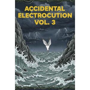 P, T C Accidental Electrocution Vol 3 P, T C Accidental Electrocution Vol 3