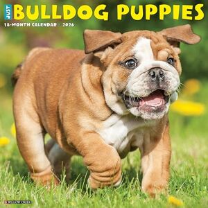 Willow Creek Press Bulldog Puppies 2026 12 X 12 Wall Calendar Willow Creek Press Bulldog Puppies 2026 12 X 12 Wall Calendar