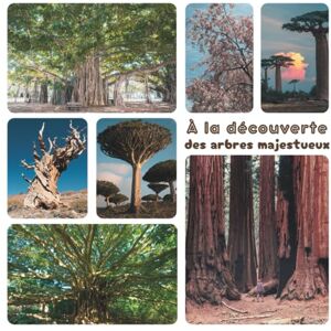 Bérubé, Camille À la découverte des arbres majestueux Bérubé, Camille À la découverte des arbres majestueux