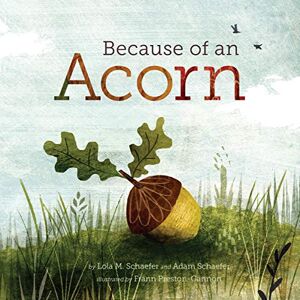 Schaefer, Lola M. Because of an Acorn: (Nature Autumn Books for Children, Picture Books about Acorn Trees) (Nrdc) Schaefer, Lola M. Because of an Acorn: (Nature Autumn Books for Children, Picture Books about Acorn Trees) (Nrdc)