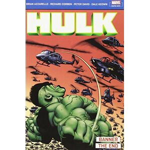 David, Peter Incredible Hulk: Banner & The End David, Peter Incredible Hulk: Banner & The End
