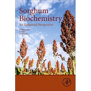 Tan, Ying GPU-based Parallel Implementation of Swarm Intelligence Algorithms Tan, Ying GPU-based Parallel Implementation of Swarm Intelligence Algorithms