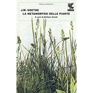 Goethe, Johann Wolfgang La metamorfosi delle piante e altri scritti sulla scienza della natura Goethe, Johann Wolfgang La metamorfosi delle piante e altri scritti sulla scienza della natura