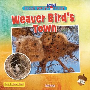 Owen, Ruth Weaver Bird's Town (Home Sweet Amazing Home (Little Acorns)) Owen, Ruth Weaver Bird's Town (Home Sweet Amazing Home (Little Acorns))
