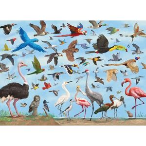 Peter Pauper Press All The Birds 1000 Piece Jigsaw Puzzle Peter Pauper Press All The Birds 1000 Piece Jigsaw Puzzle