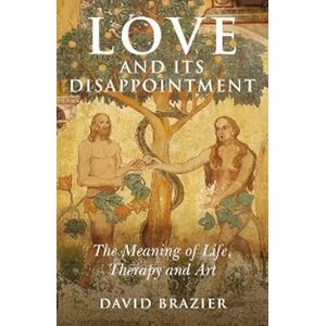 David Brazier Love and Its Disappointment: The Meaning of Life, Therapy and Art David Brazier Love and Its Disappointment: The Meaning of Life, Therapy and Art