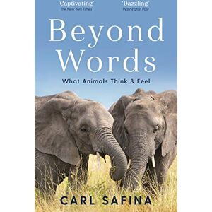 Safina, Carl Beyond Words: What Animals Think and Feel Safina, Carl Beyond Words: What Animals Think and Feel
