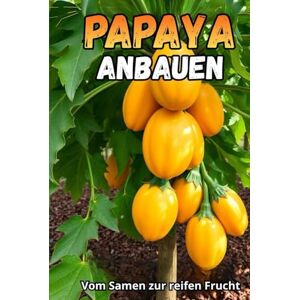 Svitana Papaya anbauen: Ein umfassender Leitfaden zum Papayaanbau: Sorten, Anbaumethoden, Pflege, Krankheits- und Schädlingsbekämpfung, optimale Bedingungen für gemäßigte Klimazonen Svitana Papaya anbauen: Ein umfassender Leitfaden zum Papayaanbau: Sorten, Anbaumethoden, Pflege, Krankheits- und Schädlingsbekämpfung, optimale Bedingungen für gemäßigte Klimazonen