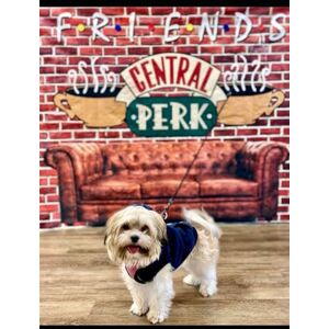 Lodato, Heather Jeannie What Foods Can Fido Eat Lodato, Heather Jeannie What Foods Can Fido Eat