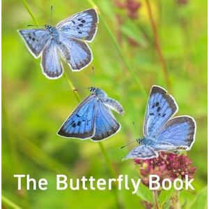 Russ, Jane The Butterfly Book: 16 (Nature Book Series) Russ, Jane The Butterfly Book: 16 (Nature Book Series)