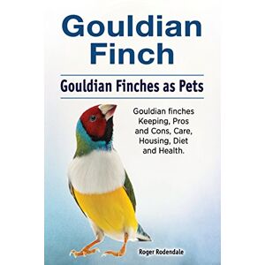 Rodendale, Roger Gouldian finch. Gouldian Finches as Pets. Gouldian finches Keeping, Pros and Cons, Care, Housing, Diet and Health. Rodendale, Roger Gouldian finch. Gouldian Finches as Pets. Gouldian finches Keeping, Pros and Cons, Care, Housing, Diet and Health.