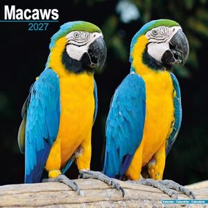 Avonside Publishing Ltd Macaws 2027 Calendar Square Wall Calendar Bird Gift Plastic Free Packaging by Avonside Publishing Avonside Publishing Ltd Macaws 2027 Calendar Square Wall Calendar Bird Gift Plastic Free Packaging by Avonside Publishing