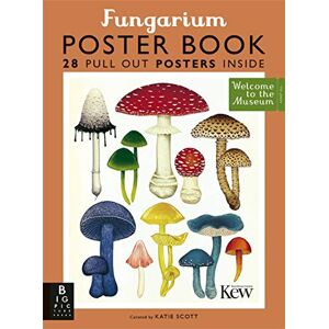 Gaya, Ester Fungarium Poster Book Gaya, Ester Fungarium Poster Book