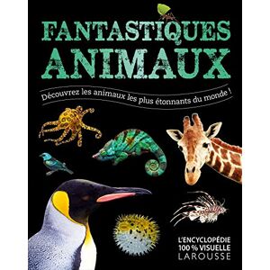 COLLECTIF Fantastiques Animaux: Découvrez les animaux les plus étonnants du monde ! COLLECTIF Fantastiques Animaux: Découvrez les animaux les plus étonnants du monde !