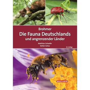 Brohmer Die Fauna Deutschlands und angrenzender Länder: Ein Bestimmungsbuch unserer heimischen Tierwelt Brohmer Die Fauna Deutschlands und angrenzender Länder: Ein Bestimmungsbuch unserer heimischen Tierwelt