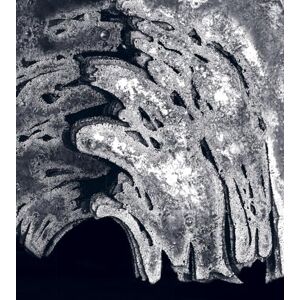 Bony, Anne Pierre Sabatier Bony, Anne Pierre Sabatier