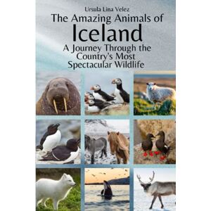 Velez, Ursula Lina The Amazing Animals of Iceland: A Journey Through the Country's Most Spectacular Wildlife Velez, Ursula Lina The Amazing Animals of Iceland: A Journey Through the Country's Most Spectacular Wildlife