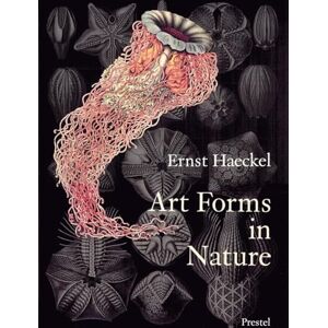 Olaf Breidbach Art Forms in Nature: Prints of Ernst Haeckel Olaf Breidbach Art Forms in Nature: Prints of Ernst Haeckel