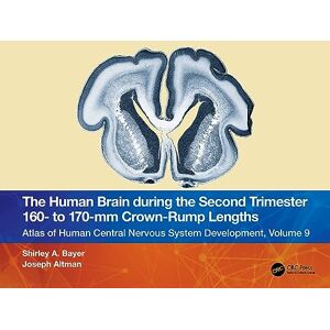 Bayer, Shirley A. The Human Brain during the Second Trimester 160– to 170–mm Crown-Rump Lengths: Atlas of Human Central Nervous System Development, Volume 9 (Atlas of Human Central Nervous System Development, 9) Bayer, Shirley A. The Human Brain during the Second Trimester 160– to 170–mm Crown-Rump Lengths: Atlas of Human Central Nervous System Development, Volume 9 (Atlas of Human Central Nervous System Development, 9)