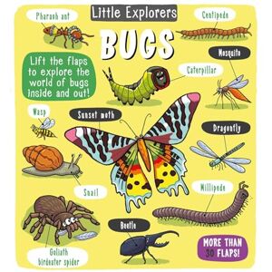 Little Bee Books Little Explorers: Bugs Little Bee Books Little Explorers: Bugs