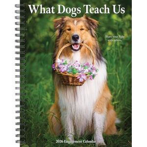 Willow Creek Press What Dogs Teach Us 2026 Engagement Calendar Willow Creek Press What Dogs Teach Us 2026 Engagement Calendar
