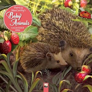 Patricia MacCarthy's Baby Animals Wall Calendar 2026 (Art Calendar) Patricia MacCarthy's Baby Animals Wall Calendar 2026 (Art Calendar)