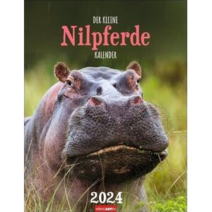 Harenberg u.Weingarten Der kleine Nilpferde-Kalender Kalender 2024 Harenberg u.Weingarten Der kleine Nilpferde-Kalender Kalender 2024